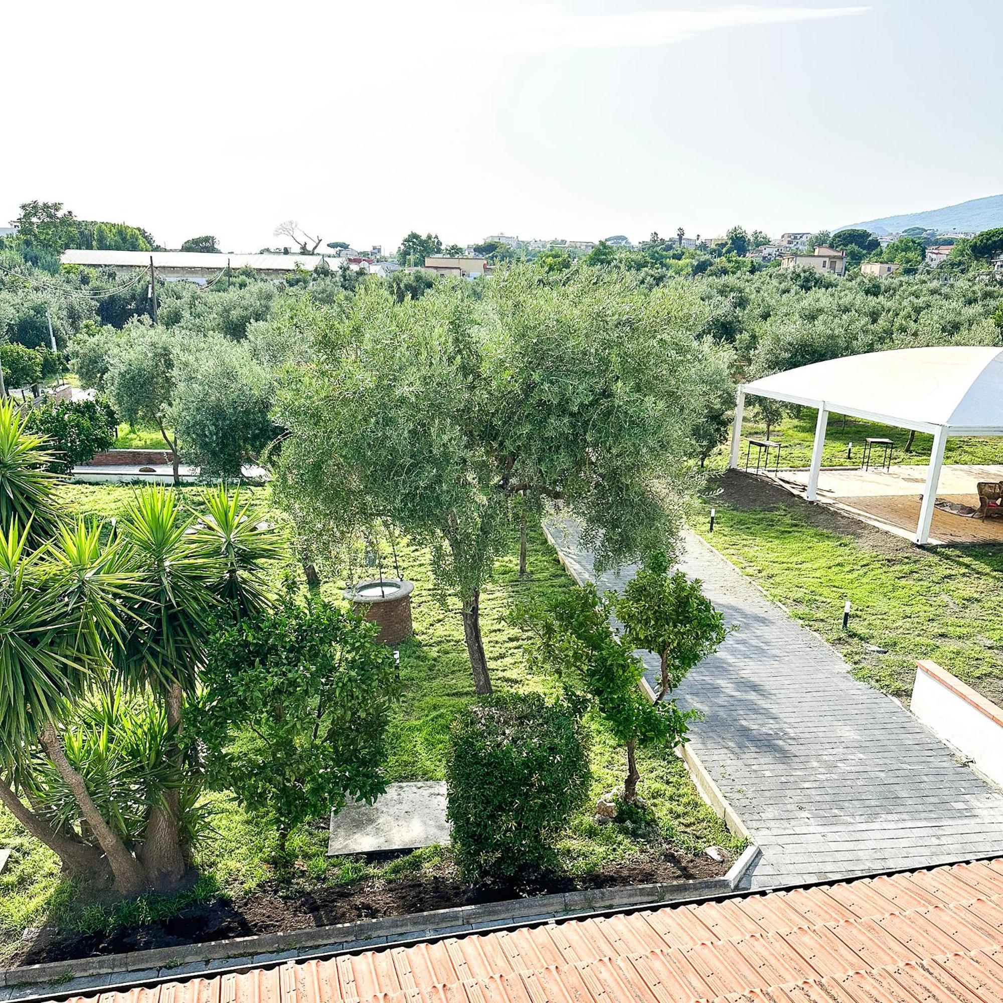 Tenuta Nunziata - Food, Event, Biofarm 토레 안눈치아타 외부 사진